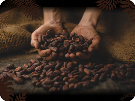 Kakao ceremonialne 100% BIO, 500g, Sierra Leone