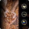Fino de Aroma natural cocoa powder 22% 1 kg