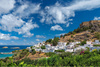 Greek Green Olives Chalkidiki Olive 250 gr straight from the island of Rhodes