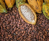 Cacao Crushed Beans, 250g straight from Colombia