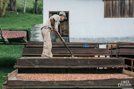 Cocoa chocolate 85% Tumaco 2.5 kg Fino de Aroma