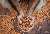 Cocoa chocolate 85% Tumaco 2.5 kg Fino de Aroma