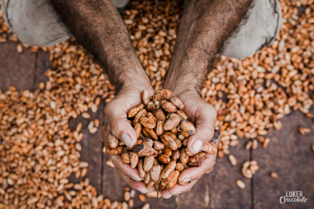 Kakao czekolada 85% Tumaco 2,5 kg Fino de Aroma