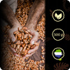 Ceremonial cocoa 100%, 500 gr, Sierra Leone, New Harvest