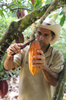 I-ORGANIC bitter chocolate , Tumaco 65%, own production