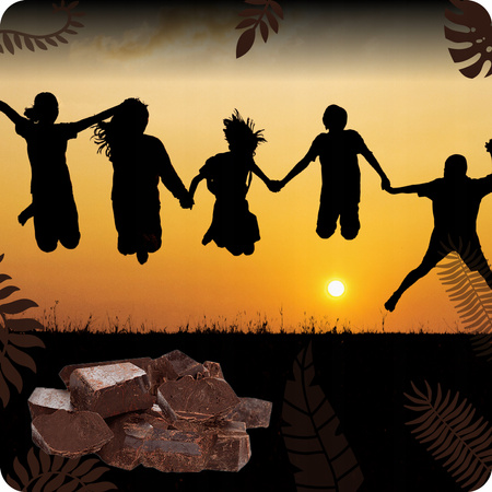 Fino de Aroma natural cocoa powder 22% 1 kg