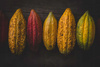 Milk chocolate without sugar I-ORGANIC , Mulata 37%, own production
