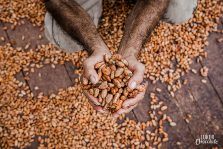 I-ORGANIC sugar-free milk chocolate, 40%, own production