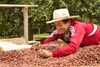 Kakao czekolada 85% Tumaco 2,5 kg Fino de Aroma