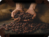 Ceremonial cocoa 100% 1000 g, Sierra Leone, New Harvest